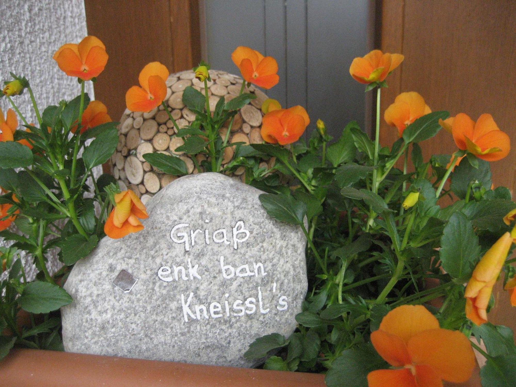 Appartamento Ban Kneissl'S Umhausen Esterno foto