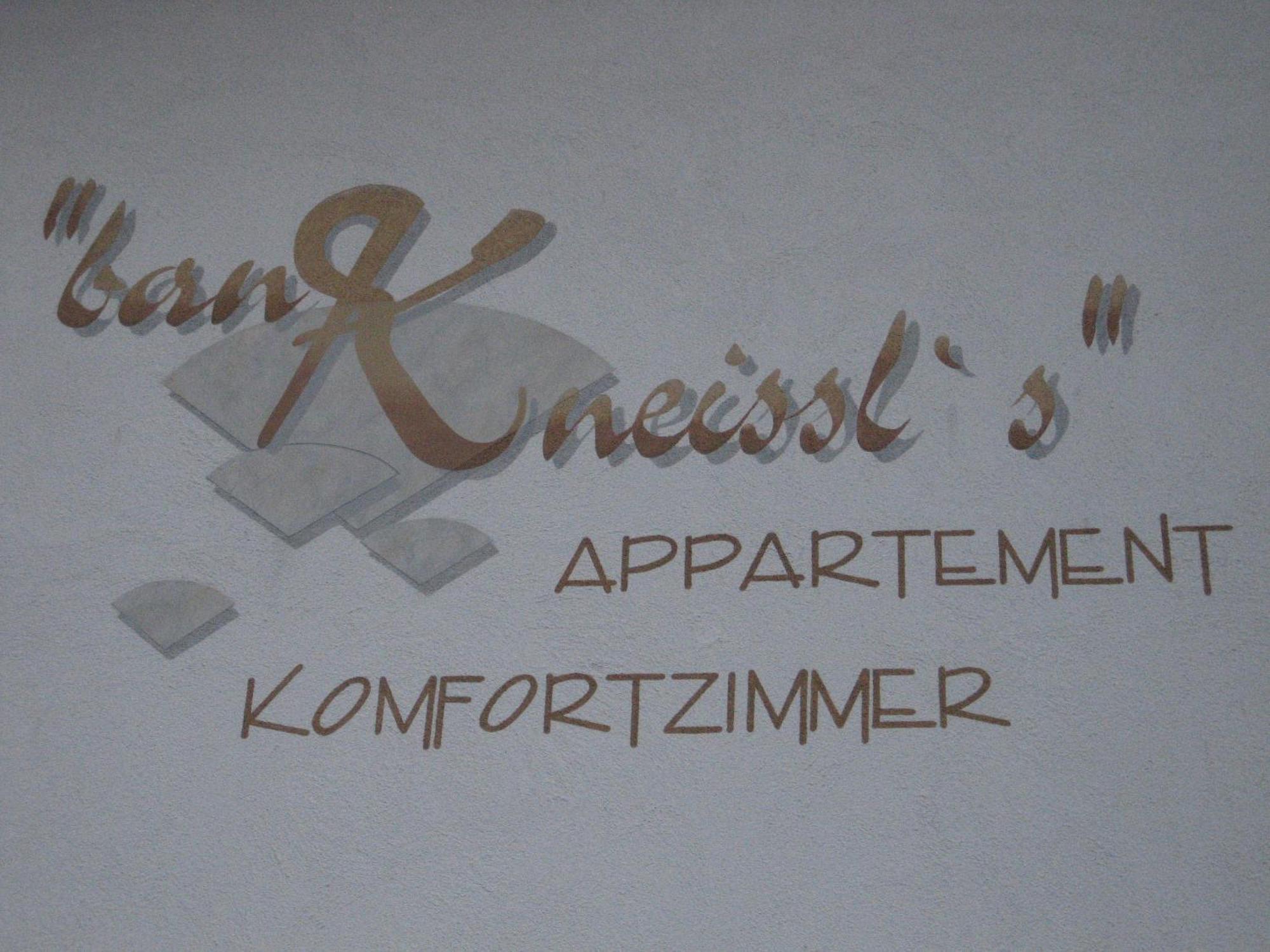 Appartamento Ban Kneissl'S Umhausen Esterno foto